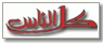 كل الناس